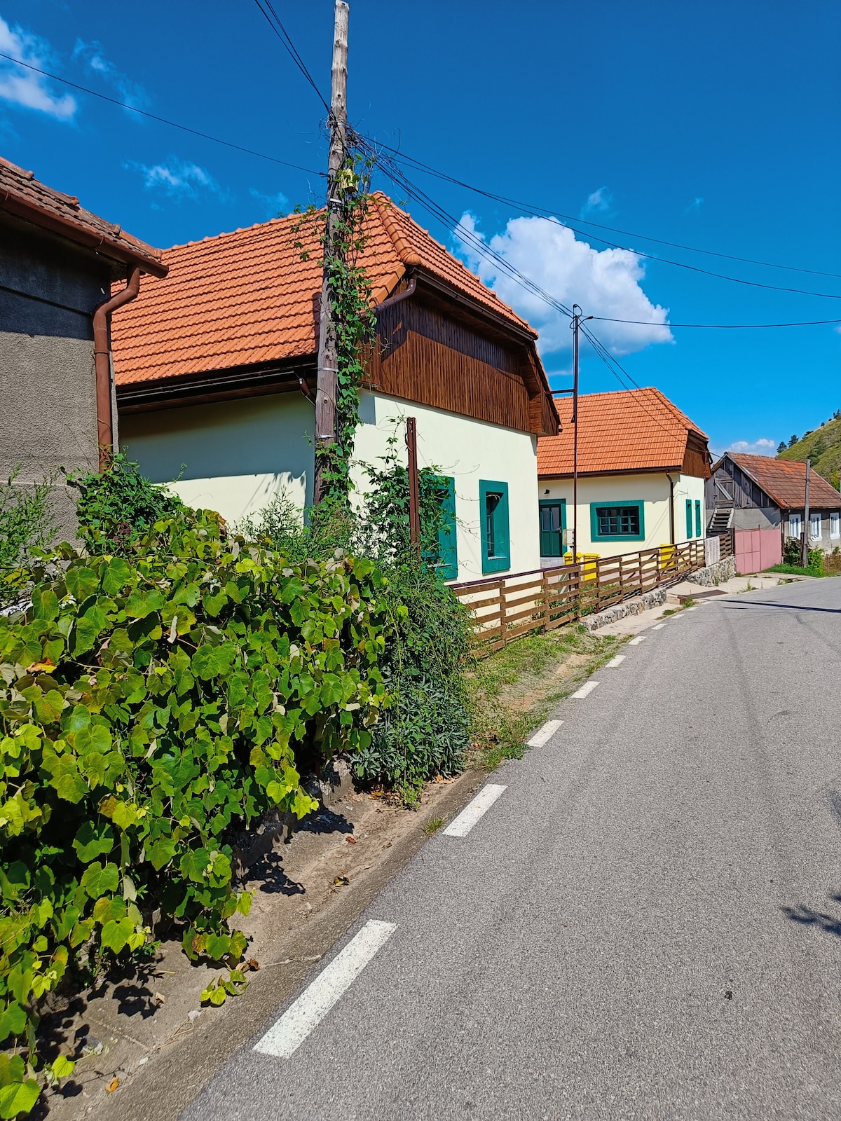 A view of charming houses along a quiet street is presented. The structures have terracotta roofs and vibrant façades, complemented by greenery along the pathway. The clear blue sky adds a bright backdrop to the scene. Power lines are visible, contributing to the rural atmosphere.