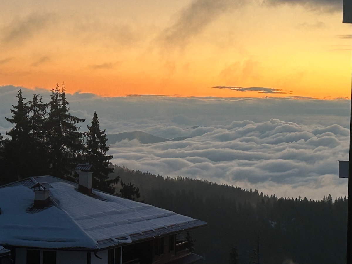 A serene sunrise illuminates the sky over a sea of clouds, with the silhouette of distant mountains visible in the background. The scene captures a tranquil moment, framed by evergreen trees and the rooftop of a nearby building, enhancing the natural beauty.