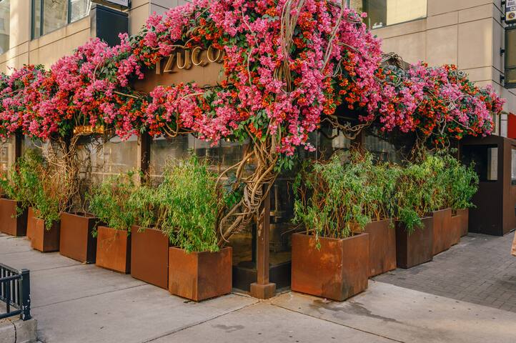 Kasa | Walk to Lincoln Park Zoo | Chicago gallery image 5