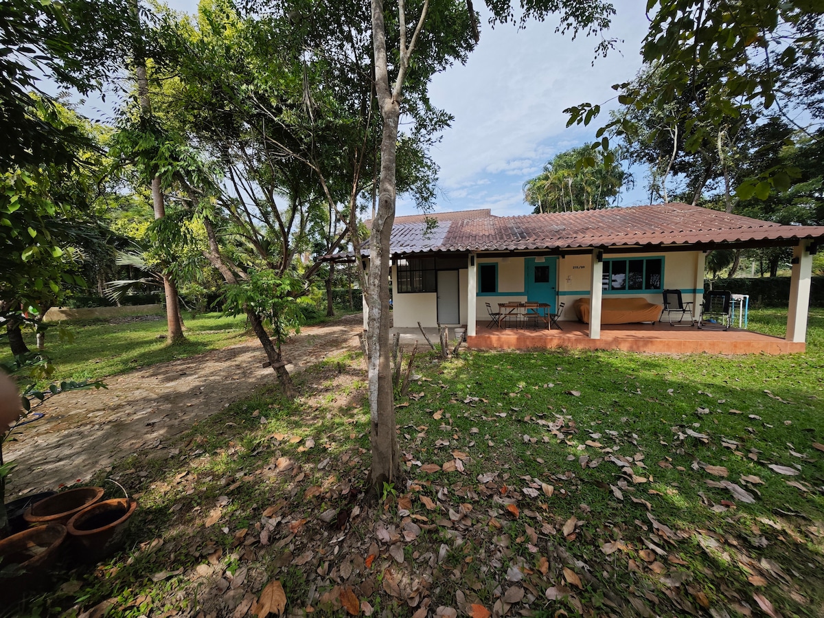 A single-story house is surrounded by lush greenery and trees, featuring a terracotta roof and a patio area. Outdoor seating is arranged on the porch, and a well-maintained garden with scattered leaves and natural pathways is visible, creating a serene environment.