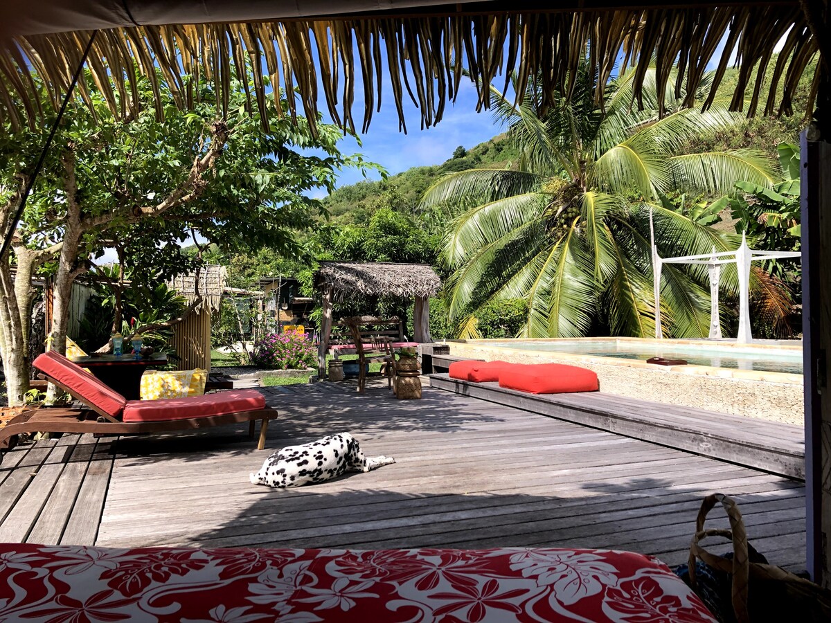 A spacious outdoor deck is furnished with sunbeds and colorful cushions, surrounded by lush greenery and palm trees. In the background, a shared swimming pool glimmers, while a thatched-roof structure offers shade. The tranquil setting emphasizes relaxation and nature.