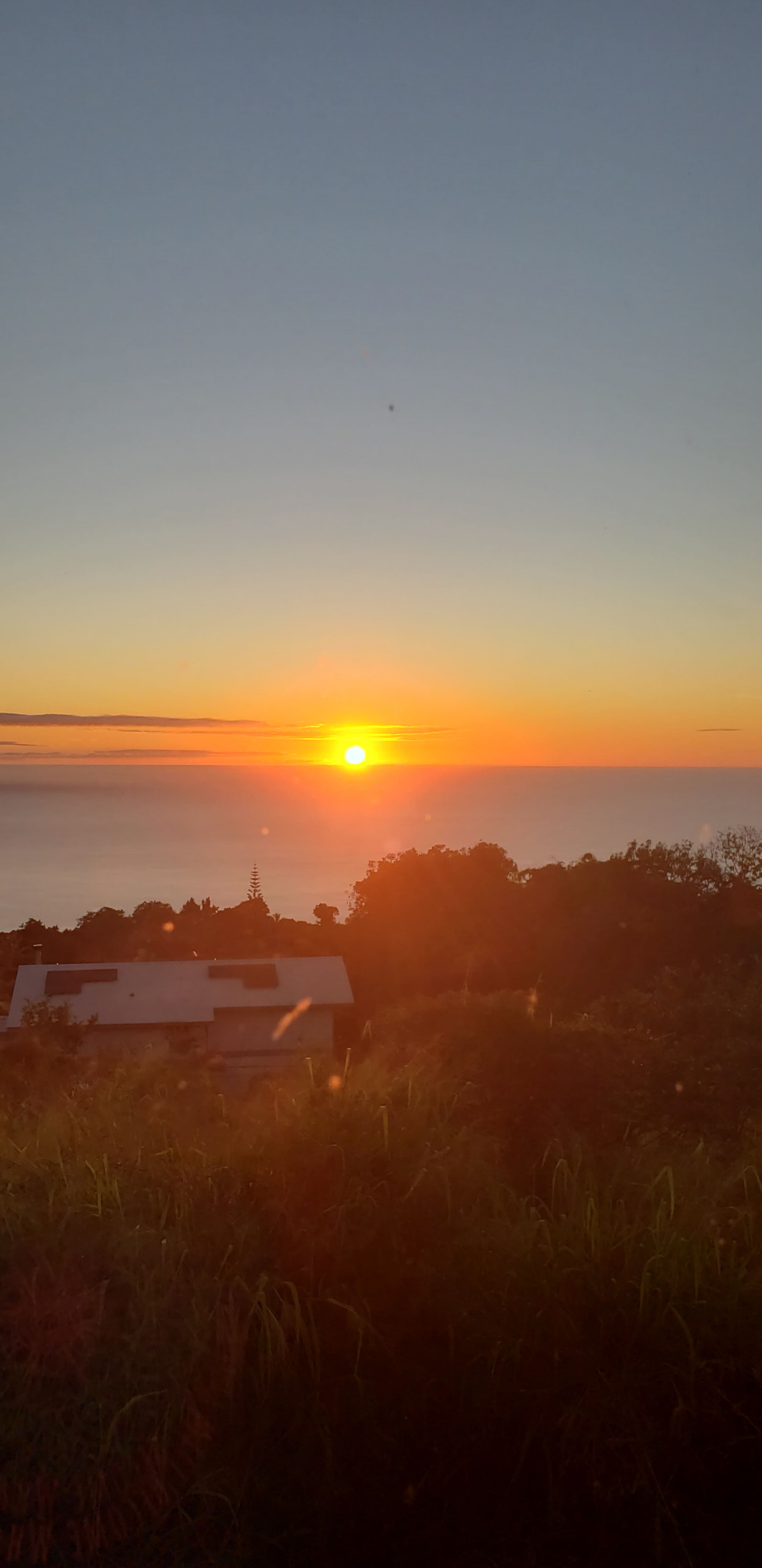 I'o Hale on Wings of Aloha 180 Ocean Sunset View - Photo 46