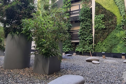 Eco-friendly and Modern Apartment