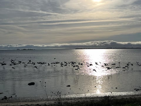 House with private lake access