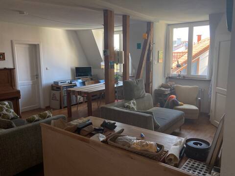 Top Airbnb: Cozy apartment with roof terrace, quiet, central in Freiburg Im Breisgau