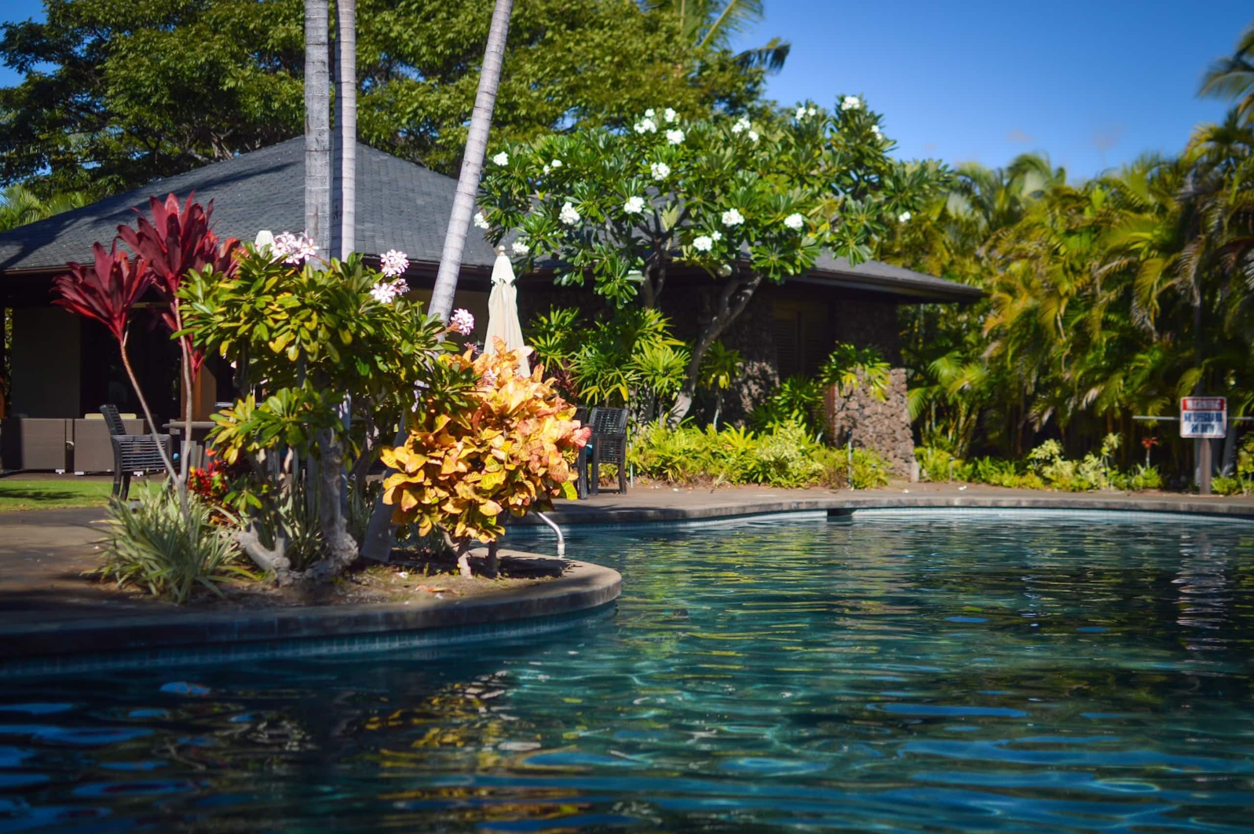 Home in Waimea · ★4.8 · 4 bedrooms · 4 beds · 4.5 baths - Image 45