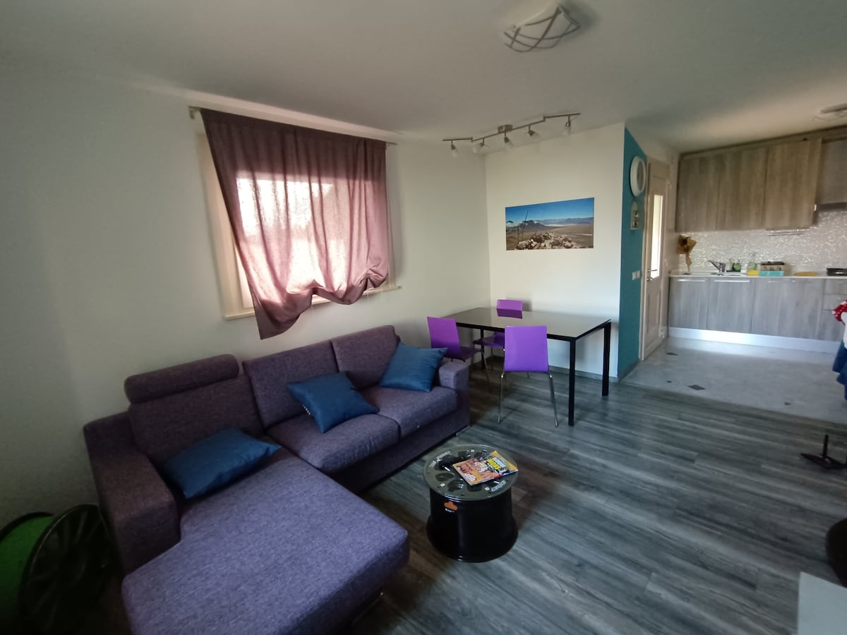 A cozy living area features a purple sectional sofa adorned with blue cushions. A round black coffee table sits nearby, and a small dining table with purple chairs is positioned across from the sofa. Natural light pours in through a gently draped window.