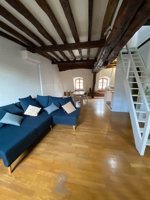 Successful Airbnb property: Charming apartment in the heart of Beaune in Beaune