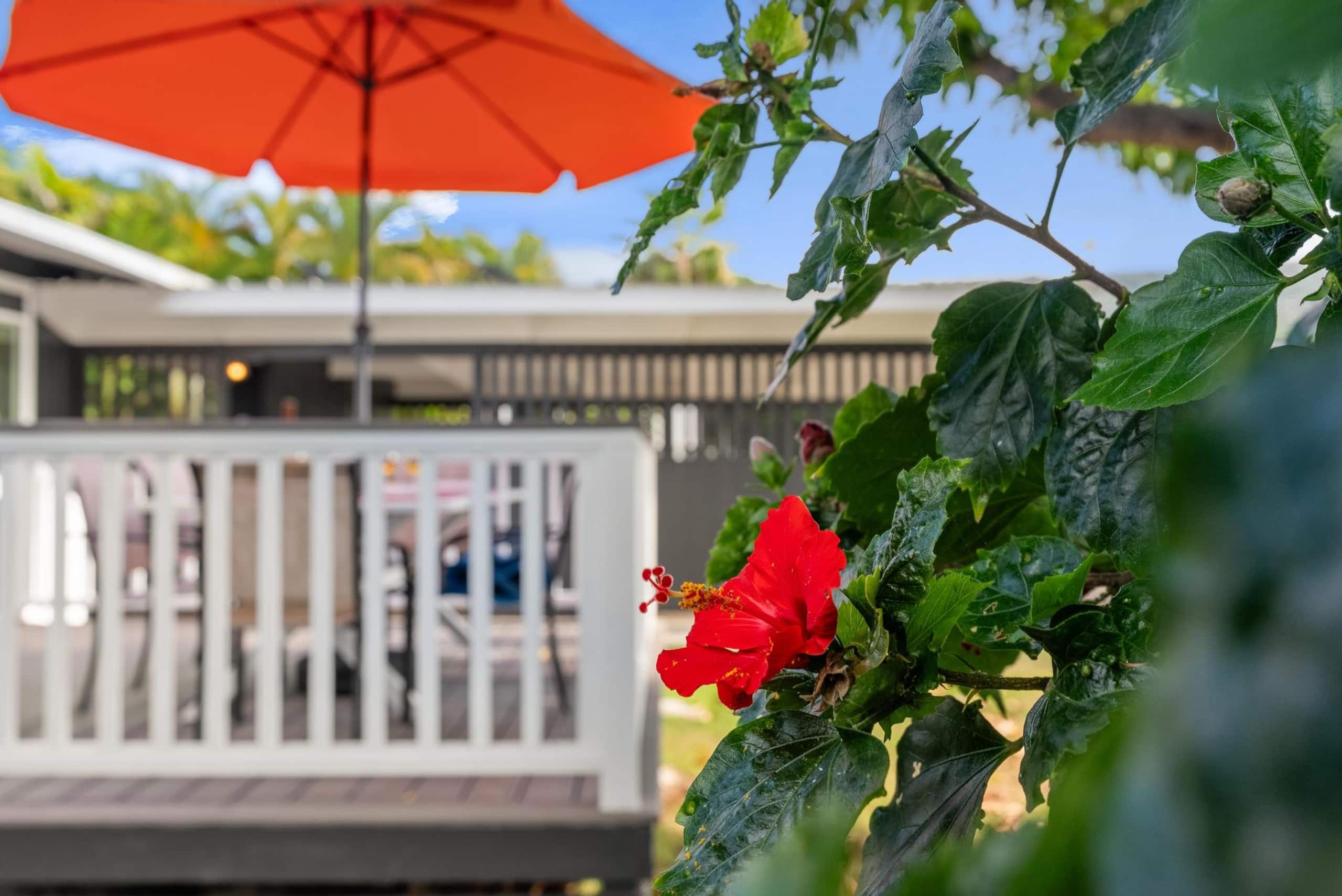 Home in Kailua-Kona · ★4.99 · 2 bedrooms · 2 beds · 1 private bath - Image 33