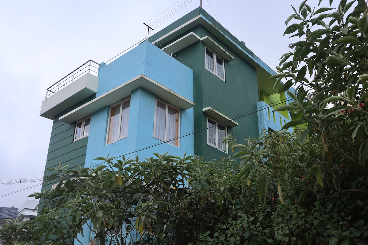 A multi-story house is displayed, featuring a combination of green and blue exteriors. Large windows allow natural light to enter, while lush greenery surrounds the base, providing a sense of privacy. A rooftop terrace is also visible, enhancing the architectural appeal.