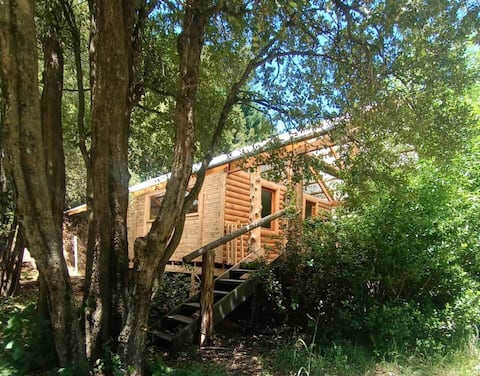 Successful Airbnb property: Karuna mountain house. in Lago Puelo
