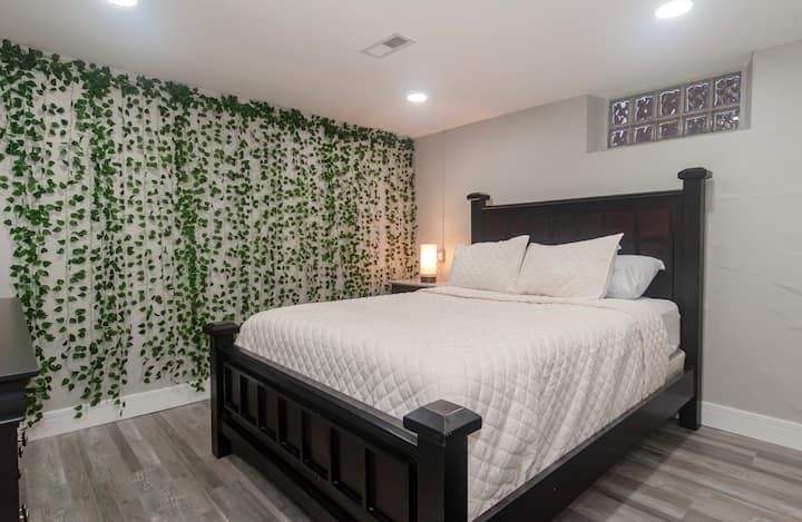 dormitorio en el sótano con cama tamaño Queen