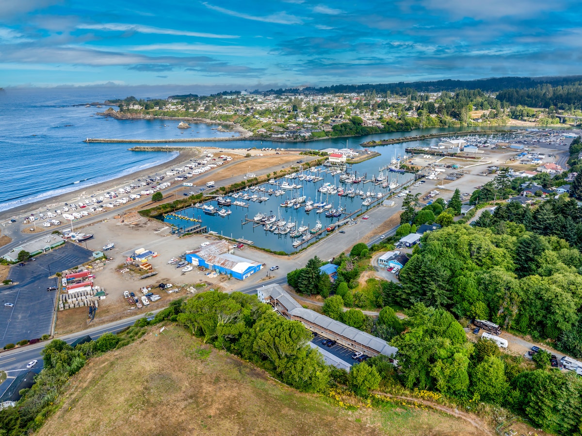An aerial view captures the marina filled with numerous boats surrounded by water. A backdrop of lush greenery and small buildings is visible. The coastline features sandy areas and the nearby town nestled in the hills, creating a serene coastal landscape.