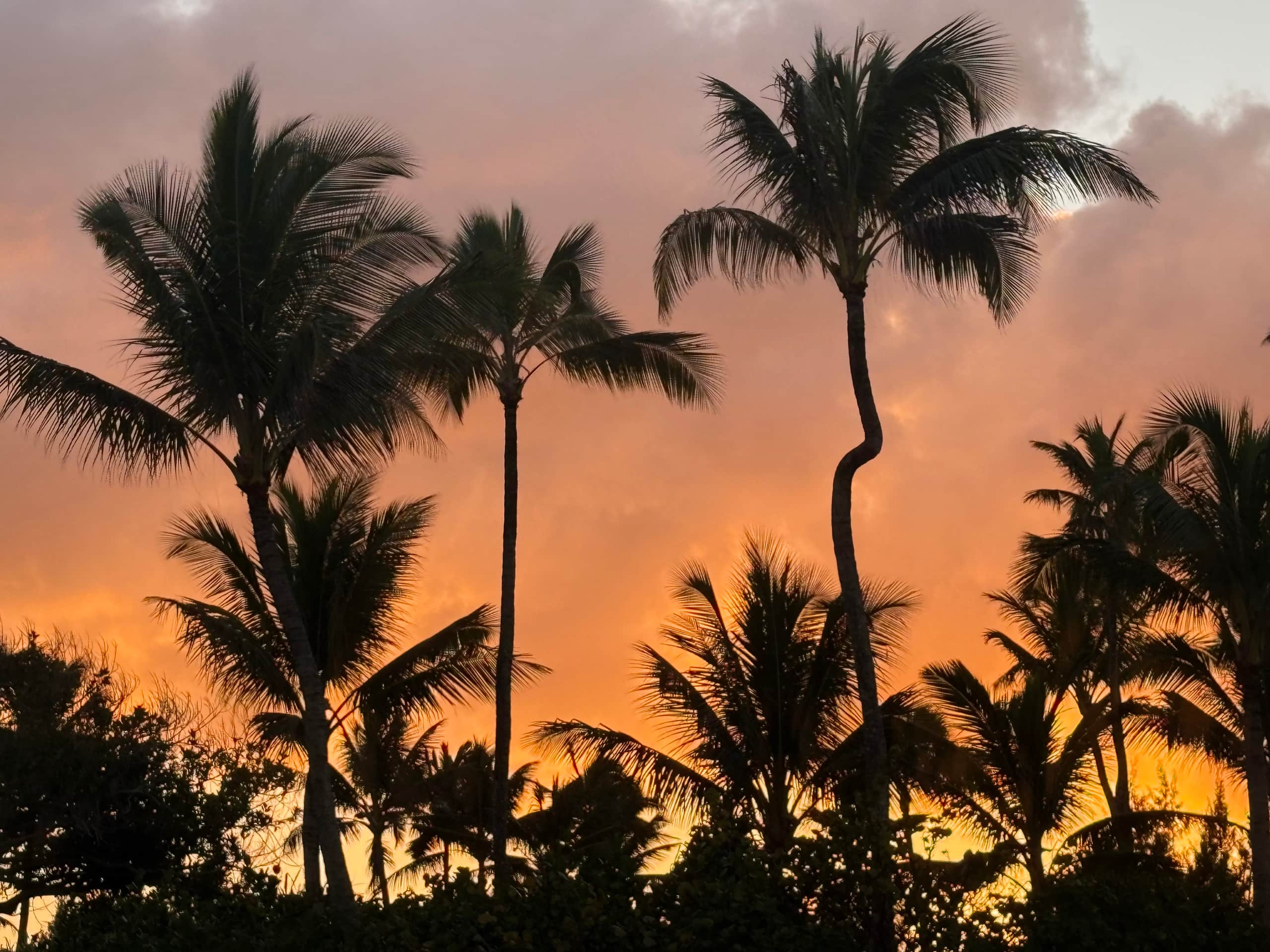 Home in Kahuku · ★4.79 · 2 bedrooms · 3 beds · 3 private baths - Image 31
