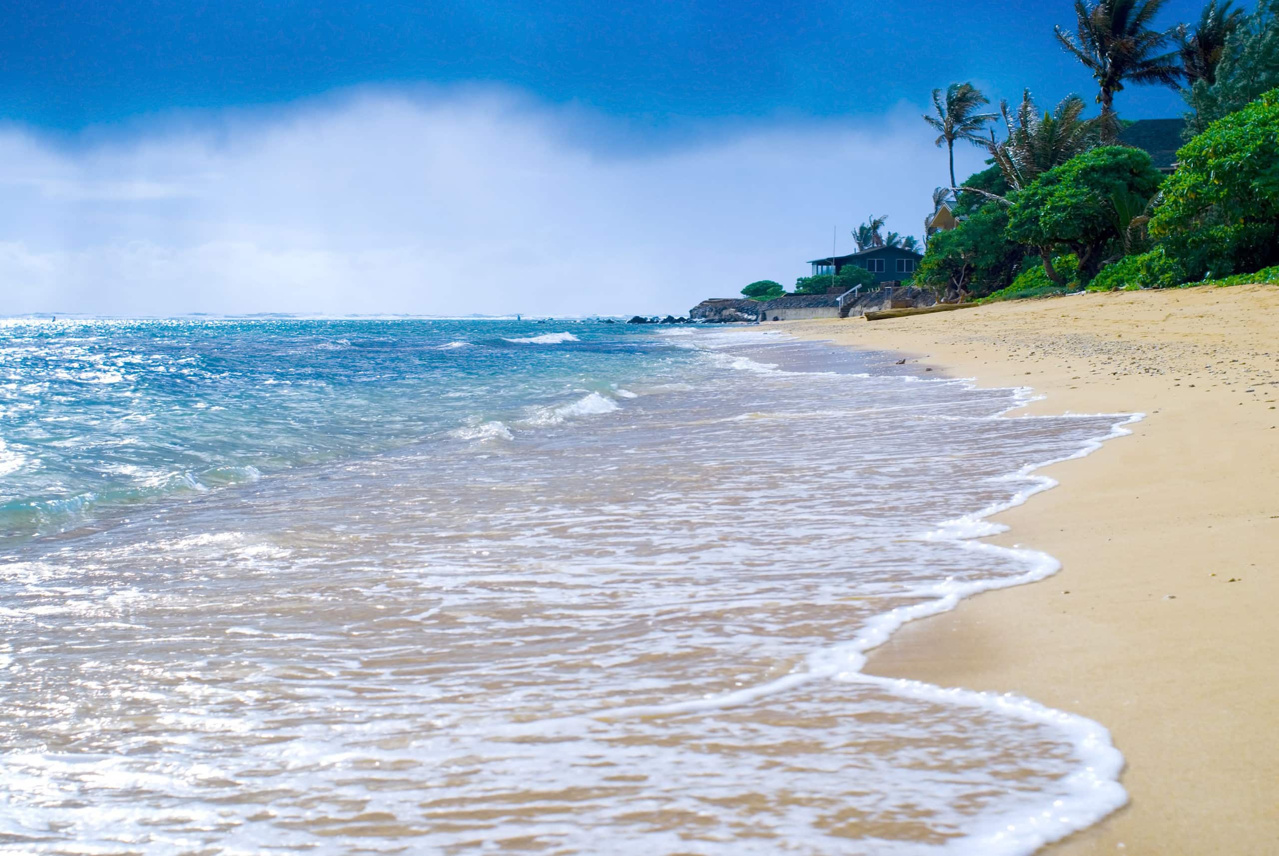 Home in Kahuku · ★4.79 · 2 bedrooms · 3 beds · 3 private baths - Image 17