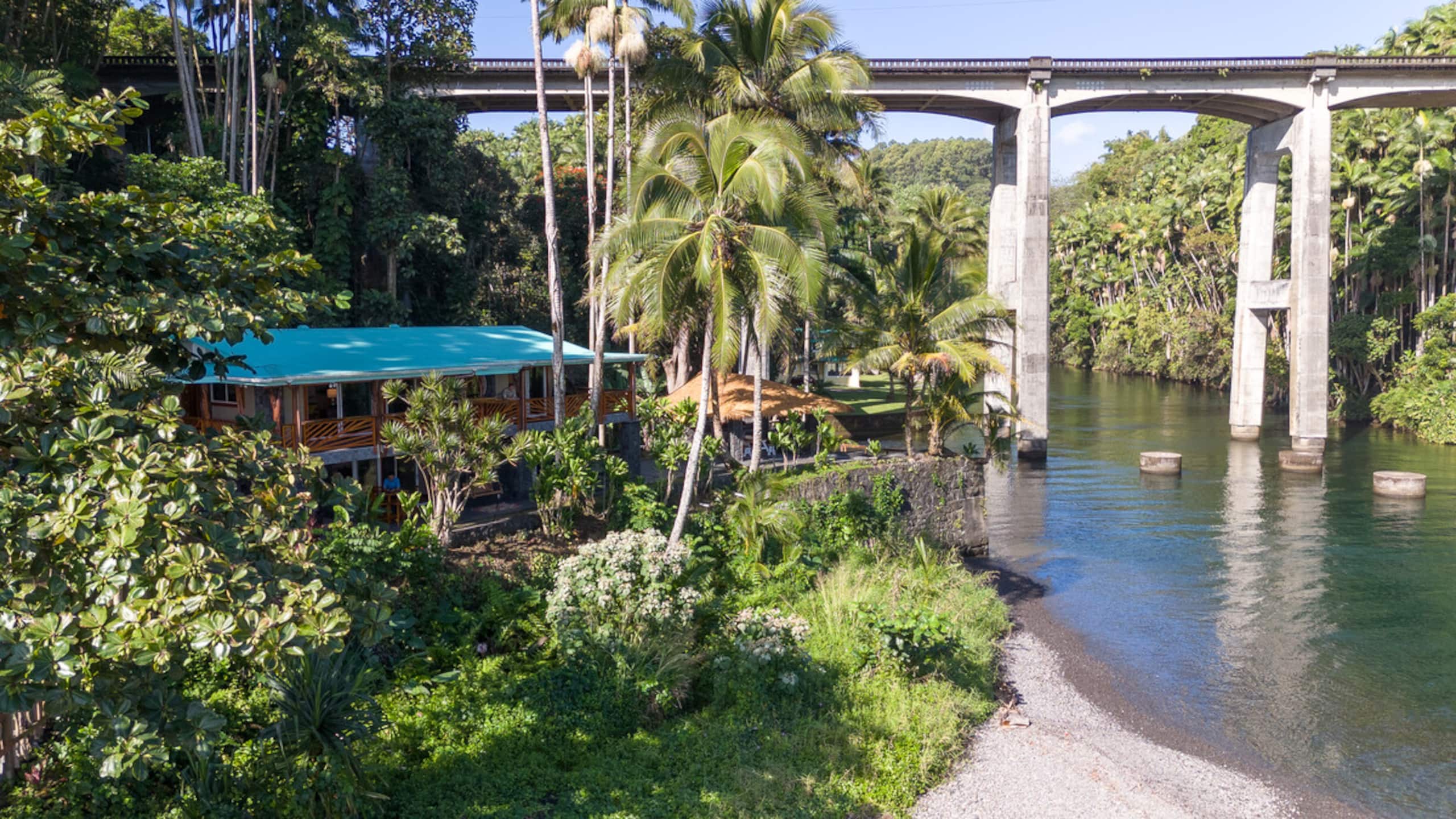 Home in Hilo · ★4.97 · 3 bedrooms · 4 beds · 3.5 baths - Image 7