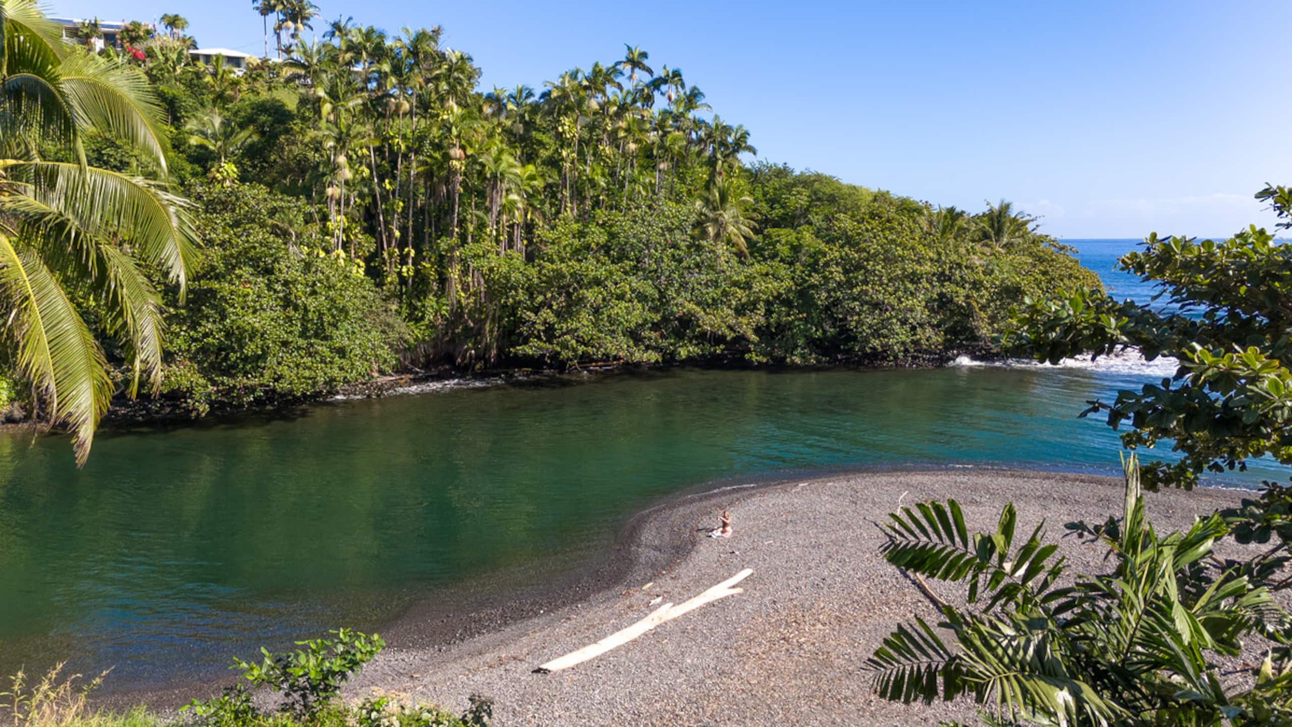 Home in Hilo · ★4.97 · 3 bedrooms · 4 beds · 3.5 baths - Image 9