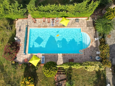 The Fiouzaire Olive Trees