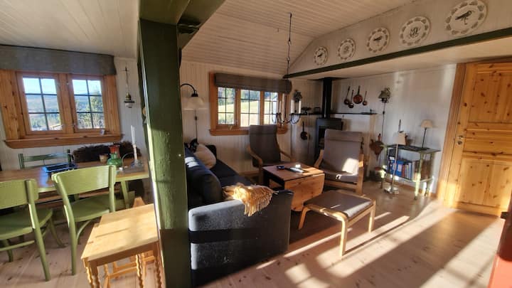 Canapé (peut être utilisé comme lit pour 2 personnes), chaises, four, jeux de société et livres