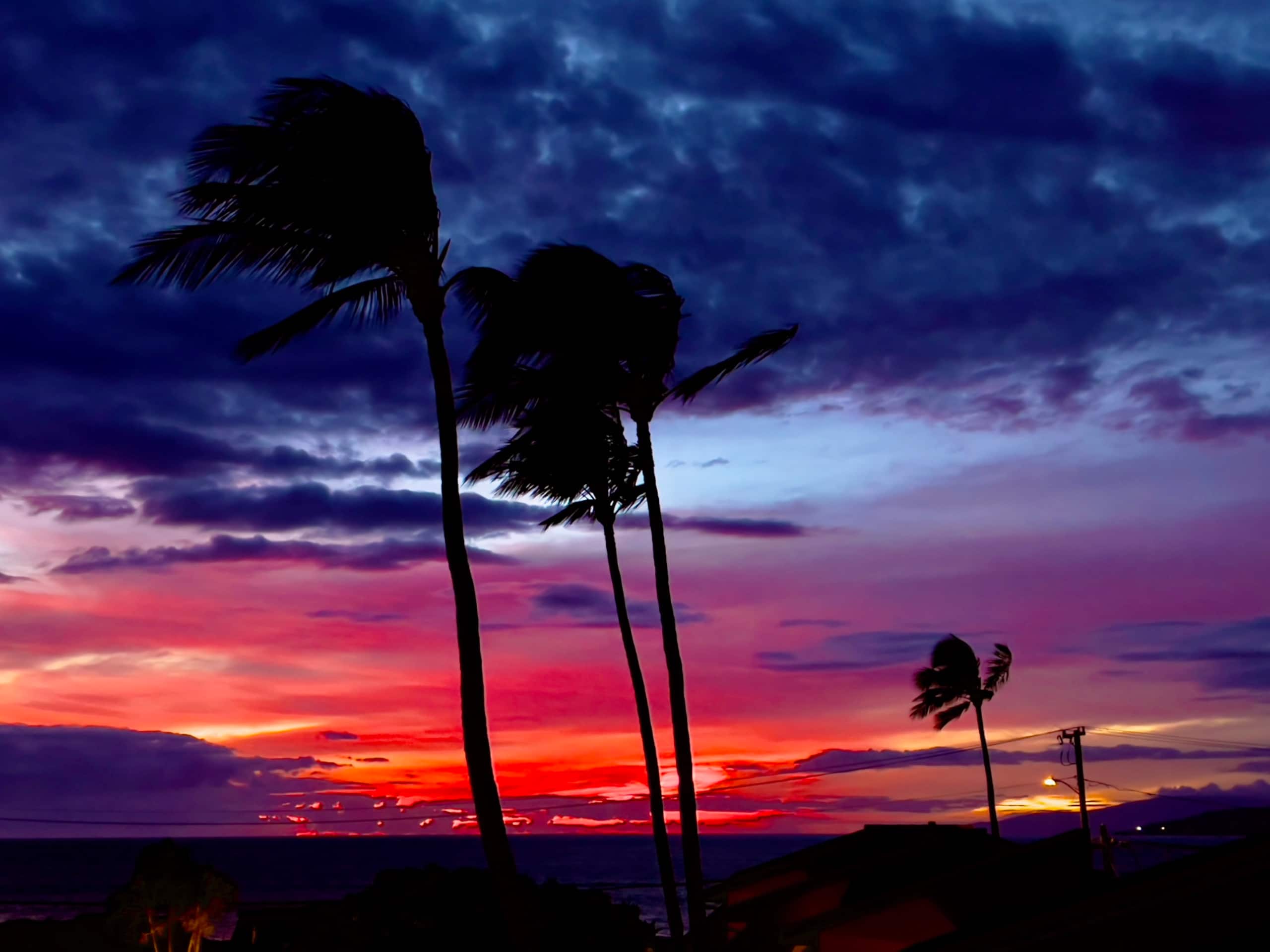Condo in Kihei · ★5.0 · 2 bedrooms · 3 beds · 1 private bath - Image 21