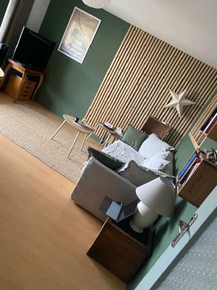 Appartement Pau - Pau