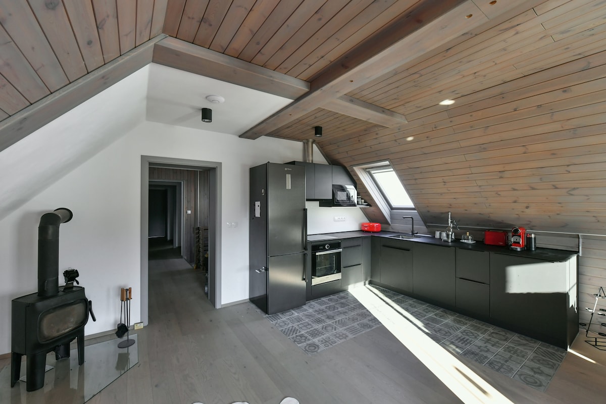 An open kitchen area with sleek black cabinetry features modern appliances, including an oven and a red kettle. A wood-burning stove stands in the corner, while a light-colored area rug adds contrast to the wooden ceiling and flooring.