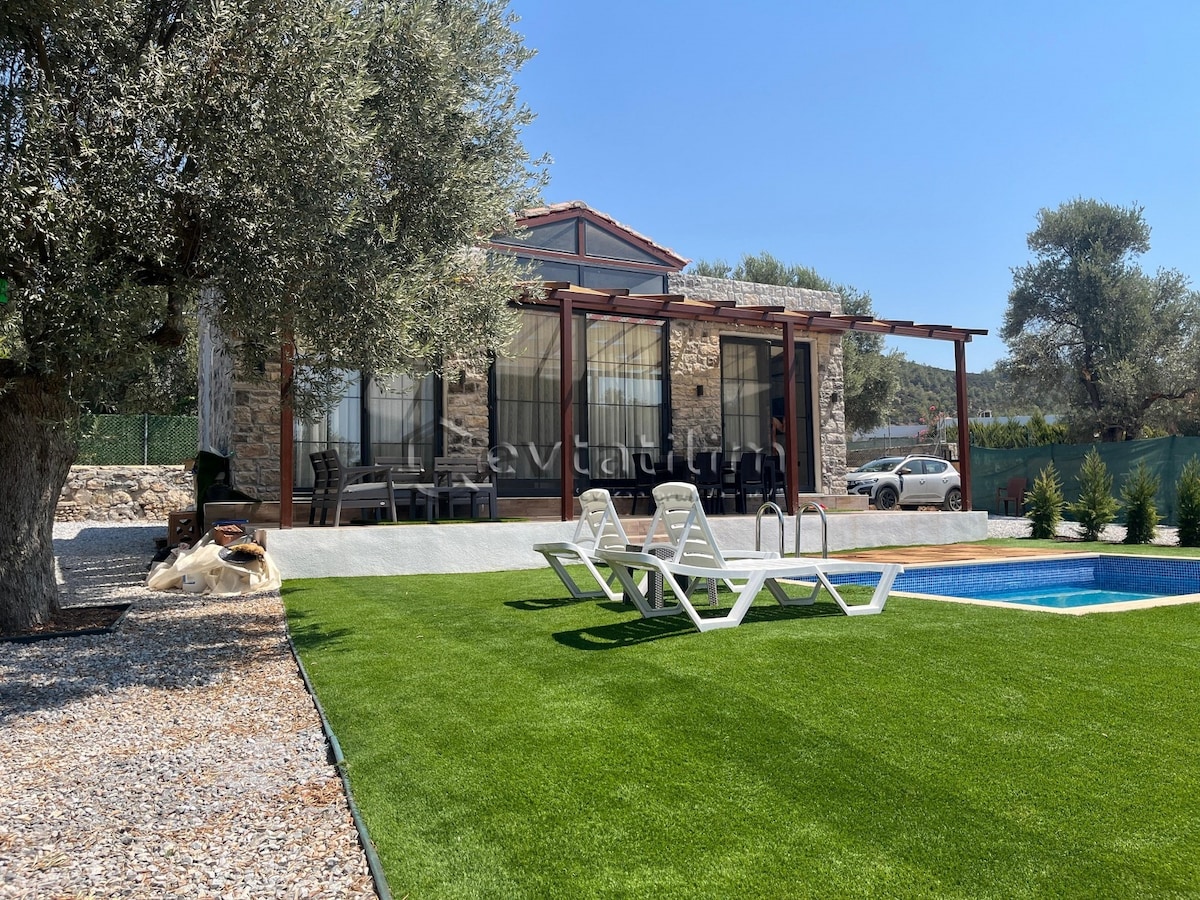 A spacious outdoor area is featured, showcasing a well-maintained lawn and a rectangular pool. The villa is visible in the background, with large glass doors and a shaded seating area. Olive trees line the property, adding greenery to the landscape.