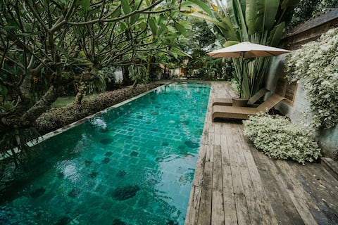 Gallery House at Semadi Living