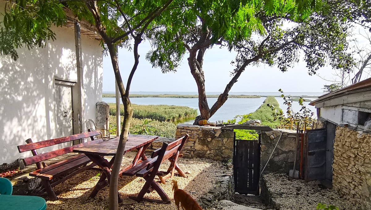 An outdoor area features a wooden picnic table with matching benches shaded by a leafy tree. A stone wall borders the site, and a view of the water and marshland is visible in the background, creating a serene environment for relaxation.