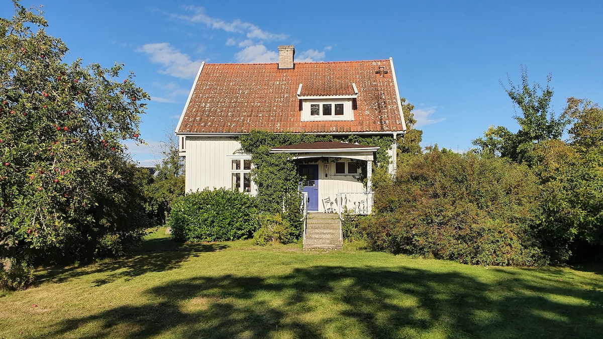 A charming house with a gabled roof is surrounded by lush greenery and mature trees. A front porch, partially covered by vines, provides an inviting entrance. Sunlight casts shadows on the well-maintained lawn, highlighting the tranquil outdoor space.