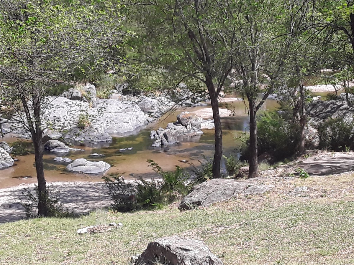A serene natural landscape features a gentle stream flowing over smooth rocks, surrounded by lush greenery and trees. The clear water reflects the sunlight, creating a calm ambiance. The riverbank is dotted with grass and larger stones, inviting a sense of tranquility.
