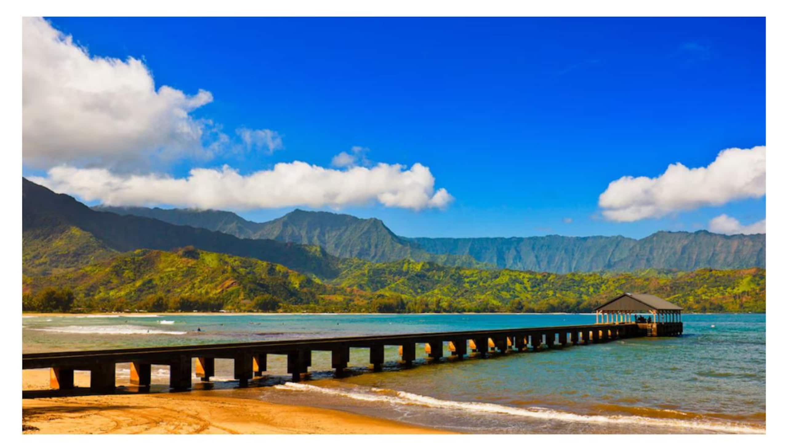 5* Reviews! Spacious Tropical Retreat + Pool + AC - Photo 77