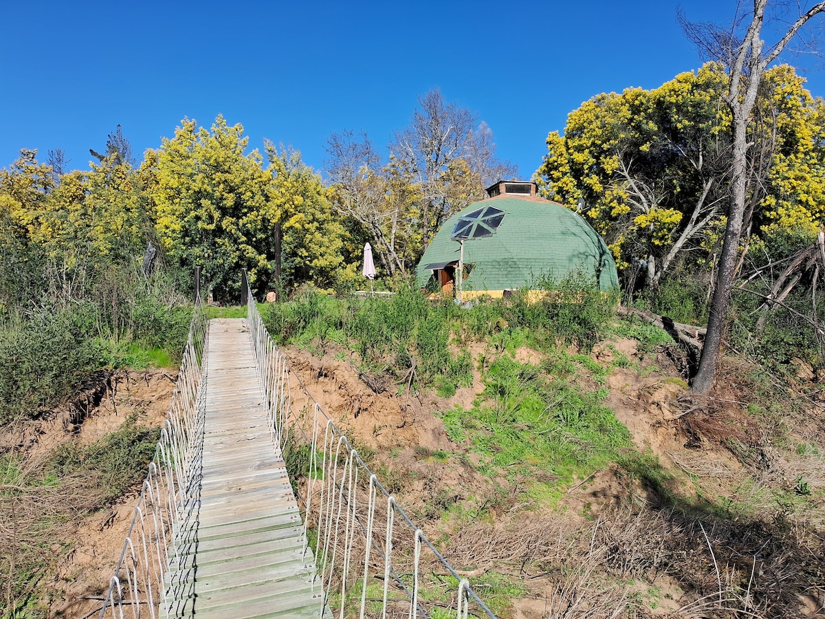A wooden pathway leads through lush greenery to a round, green dome-shaped structure surrounded by tall trees with bright yellow flowers. The sky is clear and blue, providing a serene backdrop to the natural setting.