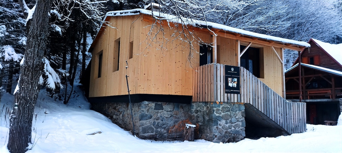 A wooden lodge with a warm facade is set against a snowy landscape. The structure features large windows that invite natural light, while stone foundations provide stability. Snow-covered surroundings enhance the serene outdoor atmosphere.