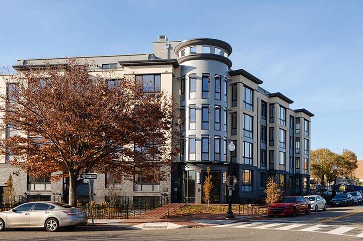 Awesome 2 Bed/2Bath in Navy Yard gallery image 5