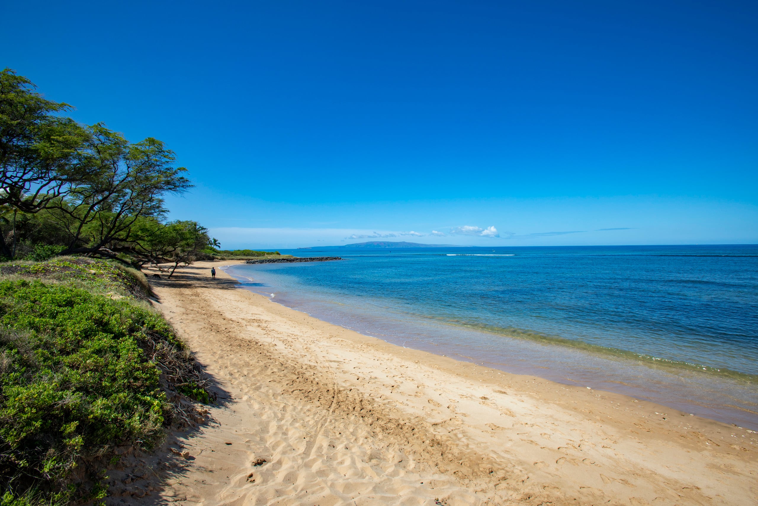 Condo in Kihei · ★4.75 · 1 bedroom · 2 beds · 1 bath - Image 29
