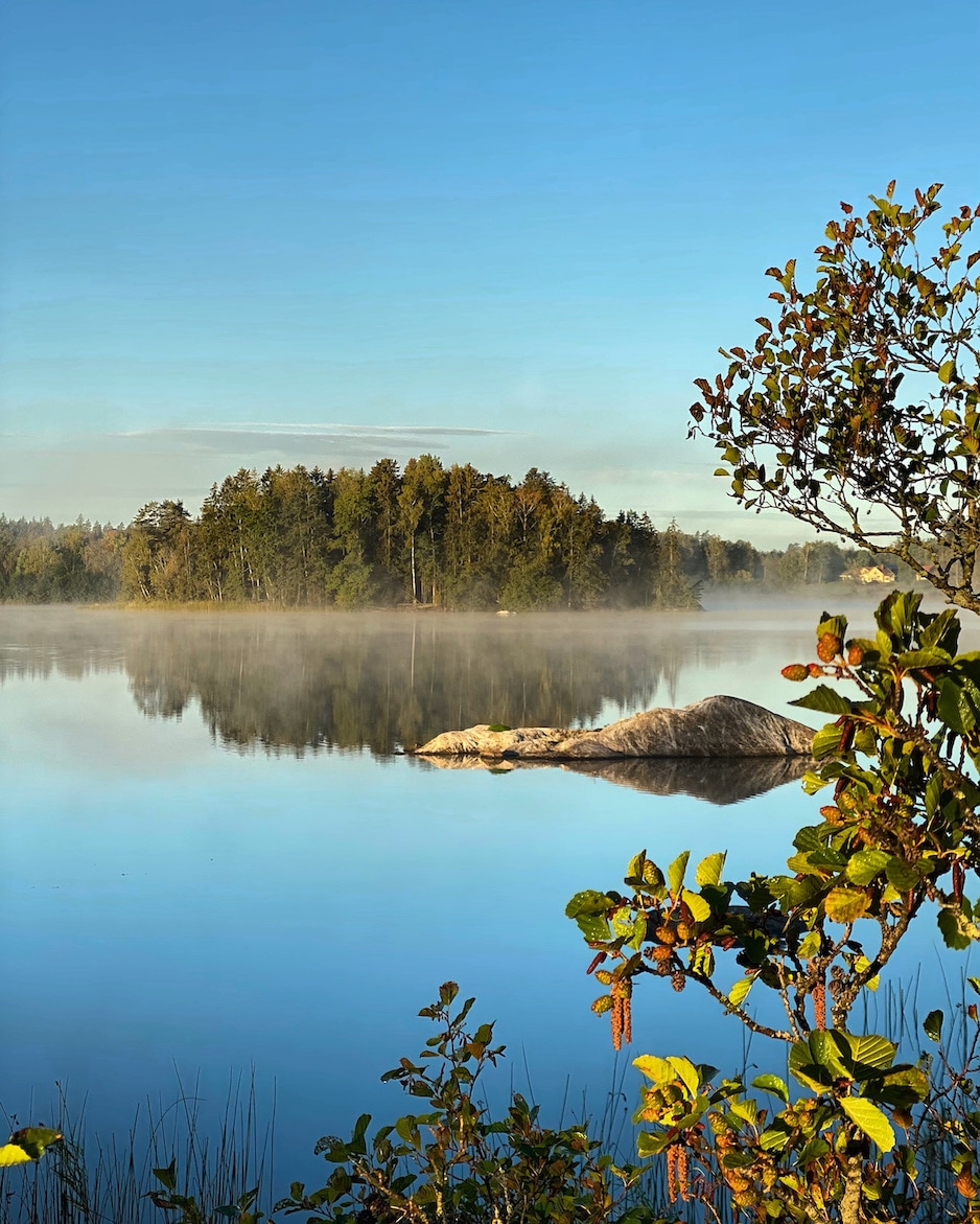 A serene lake scene is depicted, featuring calm waters reflecting the surrounding trees. Mist gently rises above the surface, and leafy plants frame the foreground, adding a touch of greenery to the tranquil landscape. A small island is visible in the distance.