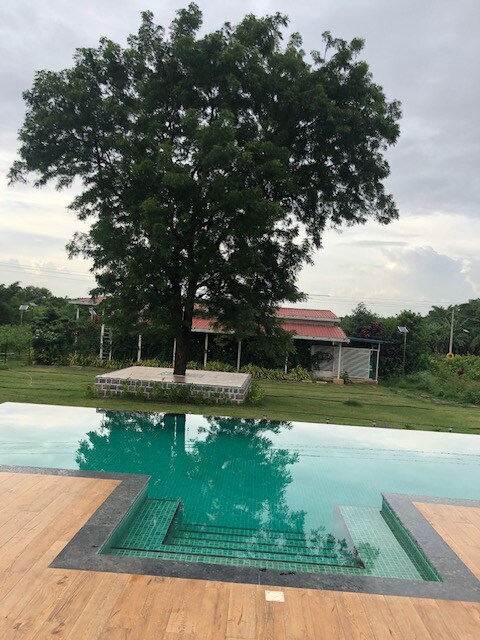 A serene swimming pool is framed by wooden decking, reflecting the surrounding greenery. A large tree stands prominently nearby, with a rustic structure visible in the background against an overcast sky.