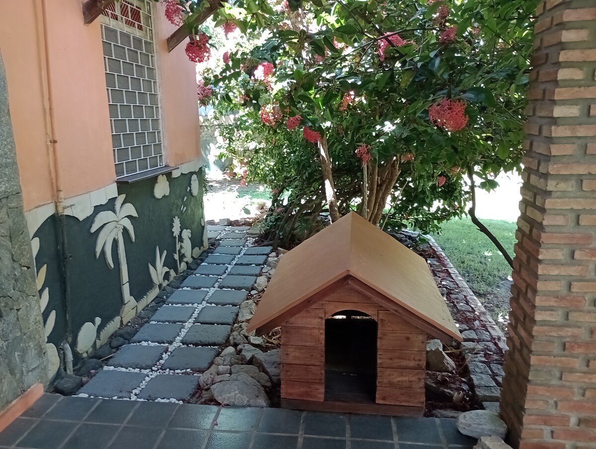 A garden path paved with stones leads toward a wooden doghouse, nestled among lush flowering plants. Surrounding foliage is vibrant, contributing to a serene outdoor environment. The nearby building features a textured wall with palm tree designs, enhancing the natural setting.
