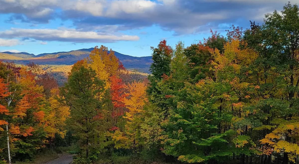 Come in October and the whole valley turns orange — this view from the property is why people come back every fall.