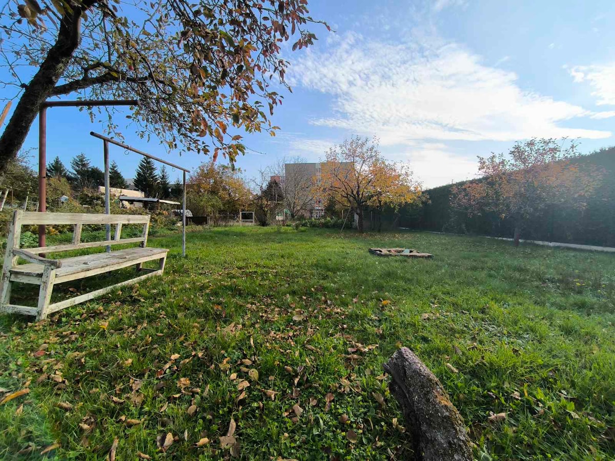 A spacious garden area is presented, featuring a wooden bench positioned on a grassy lawn surrounded by scattered autumn leaves. Several trees, some with branches reaching towards the sky, are observed, adding greenery to the outdoor space. Clear blue skies and wispy clouds complete the serene view.