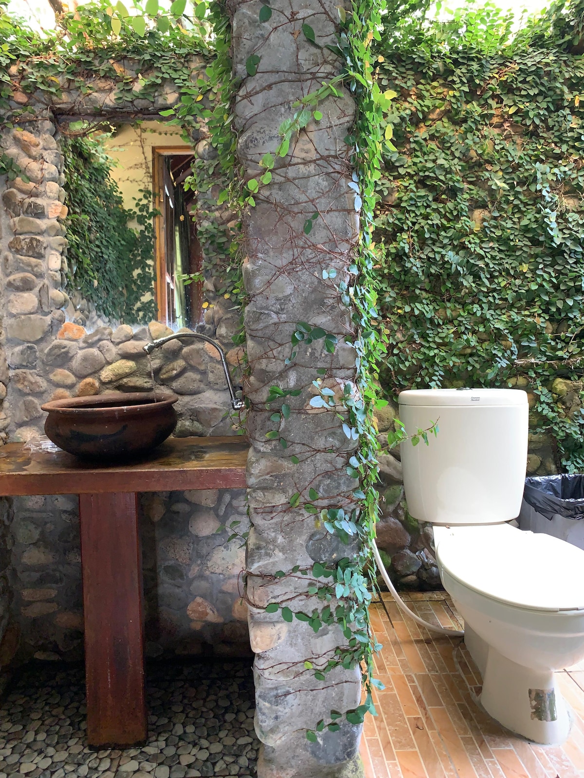 A nature-inspired bathroom features a stone wall adorned with creeping greenery. A wooden vanity holds a round basin, while the adjacent space includes a modern toilet. Natural light filters through, highlighting the earthy textures and connecting the indoor space with the outdoors.