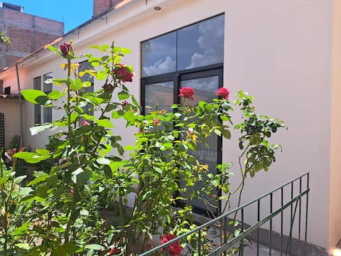 Apartment in historic center