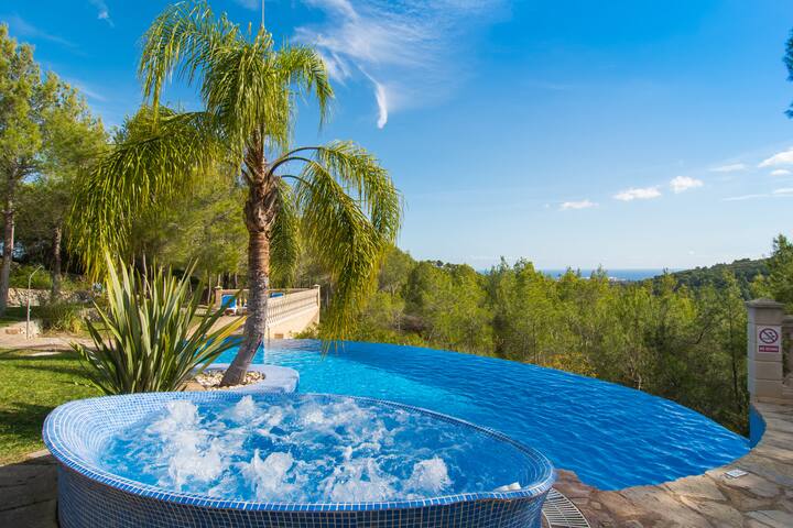 Sa Mola big luxury villa gallery image 3