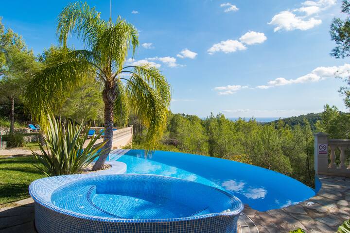 Sa Mola big luxury villa gallery image 5