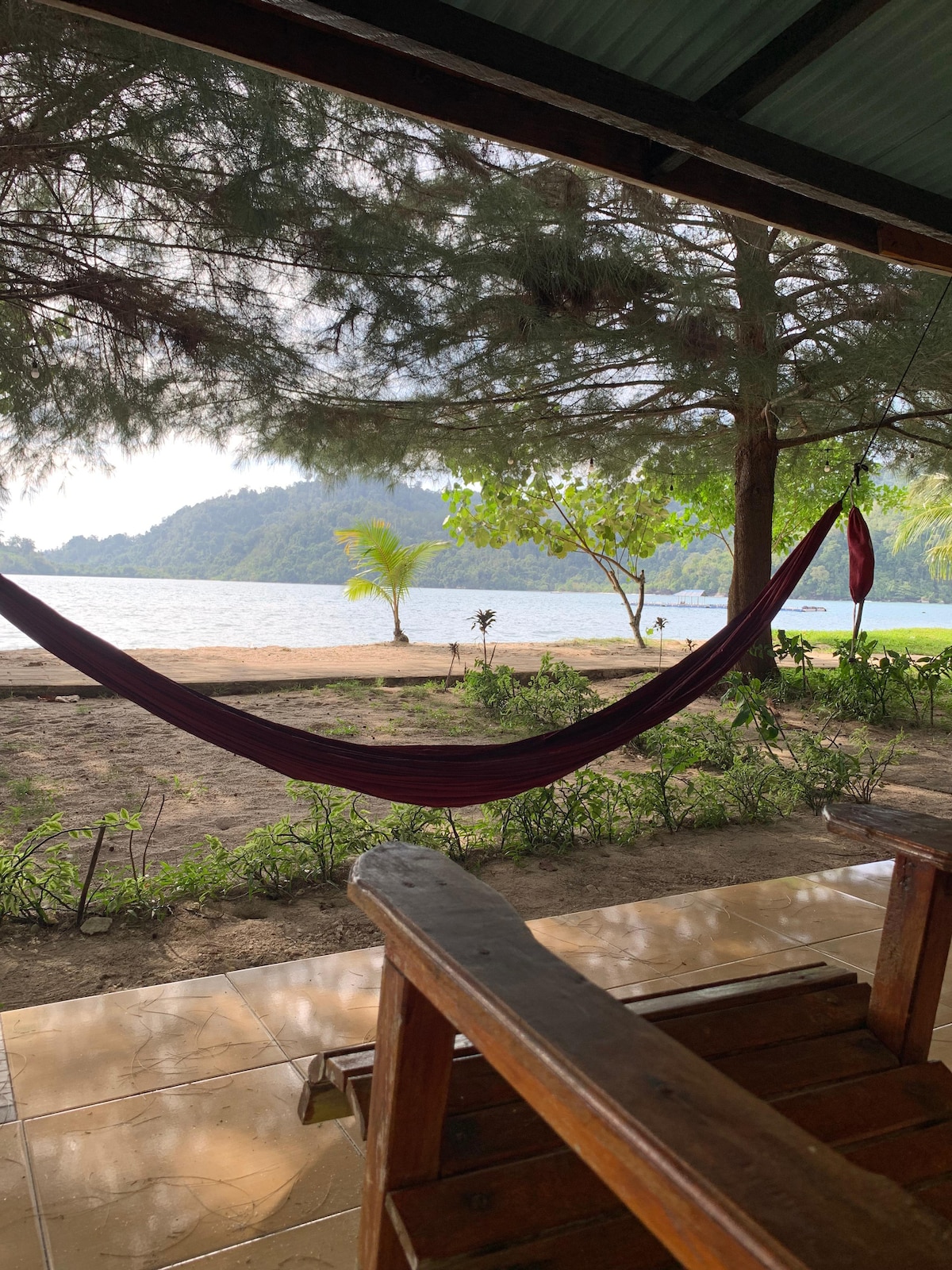A hammock is suspended between trees, offering a view of the calm water and surrounding greenery. Wet tiles reflect sunlight, enhancing the tranquil setting. The shoreline is lined with plants, inviting relaxation in the peaceful outdoor space.