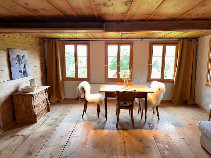 Heimelige Wohnung Im Bergdorf - Ringgenberg