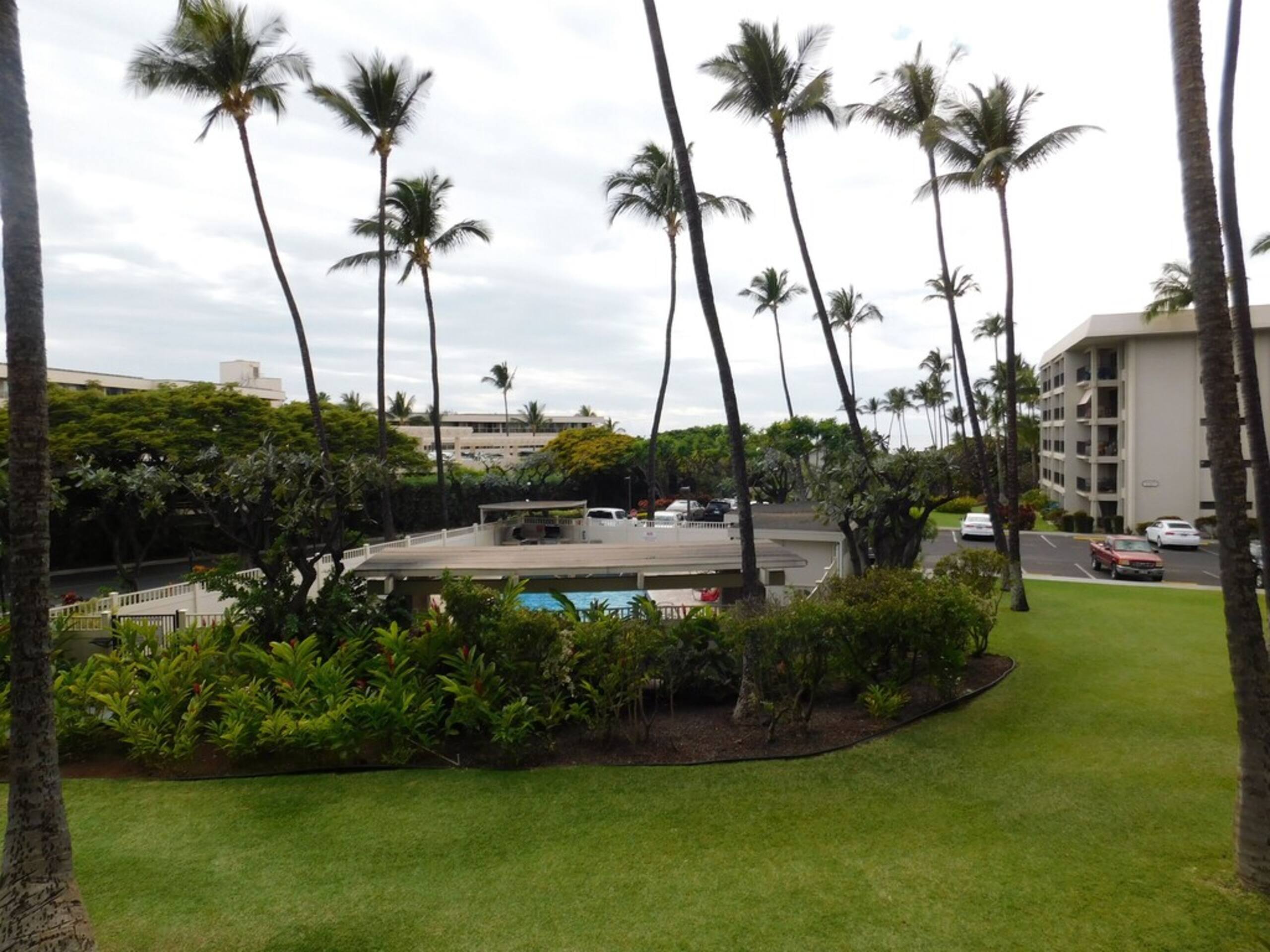 Catch our summer special on Maui! - Image 12