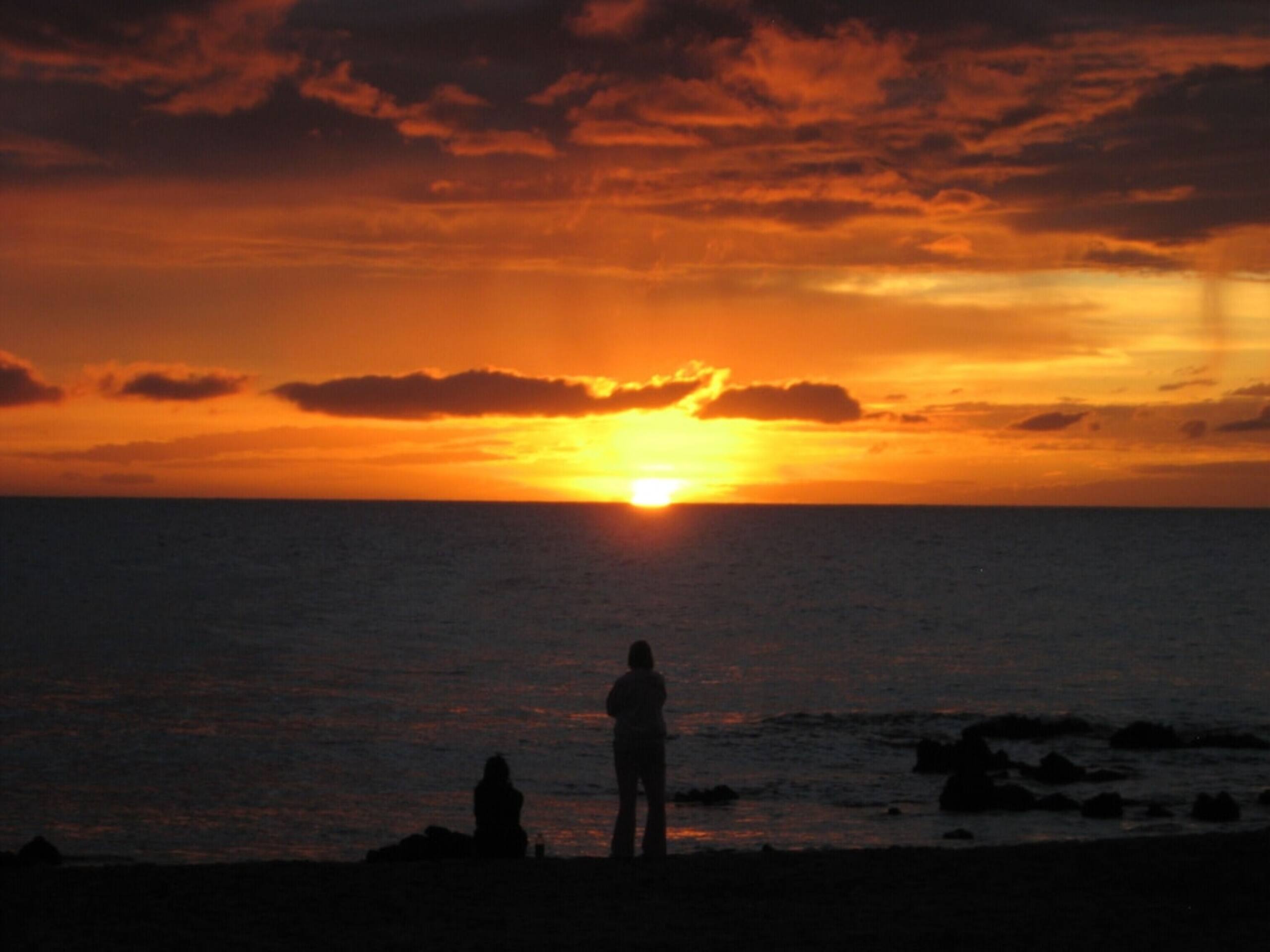Catch our summer special on Maui! - Image 13