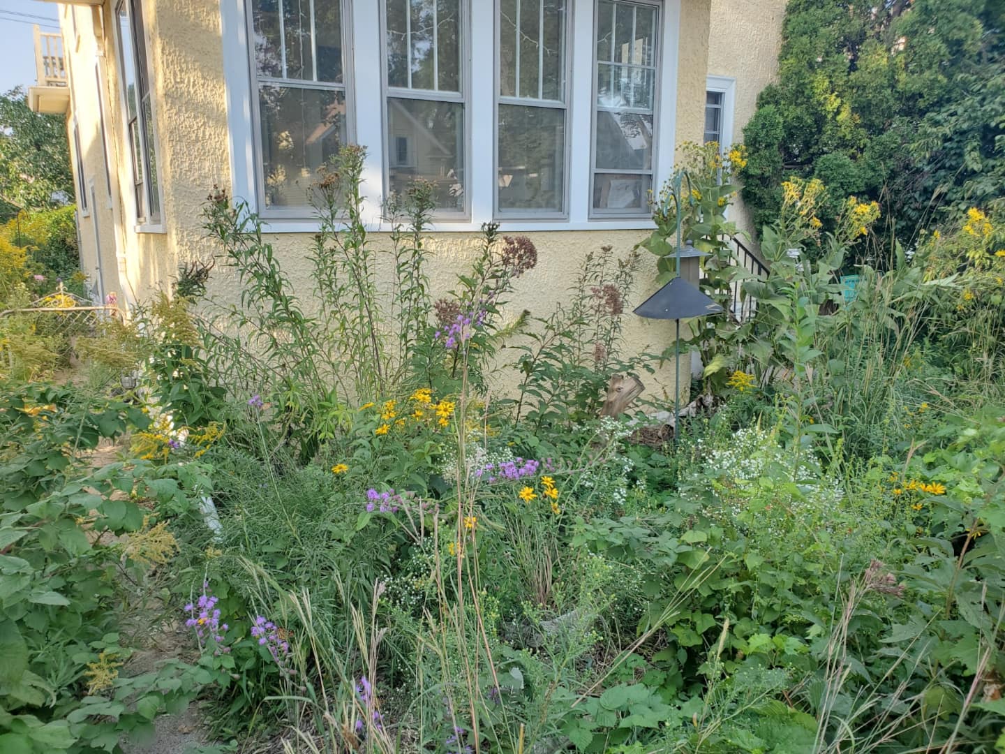 Mary's Urban Prairie